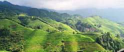 Rolling Hills 1