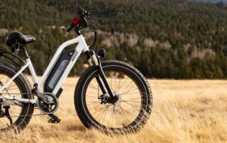 Electric Bike Standing in Filed