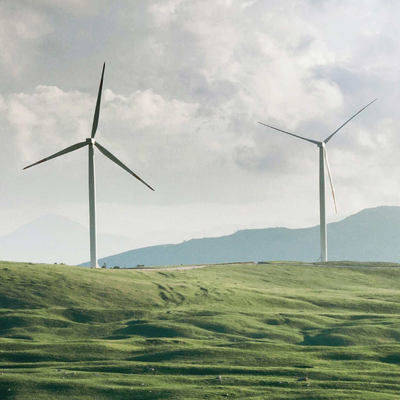 Wind Turbines in Field 2