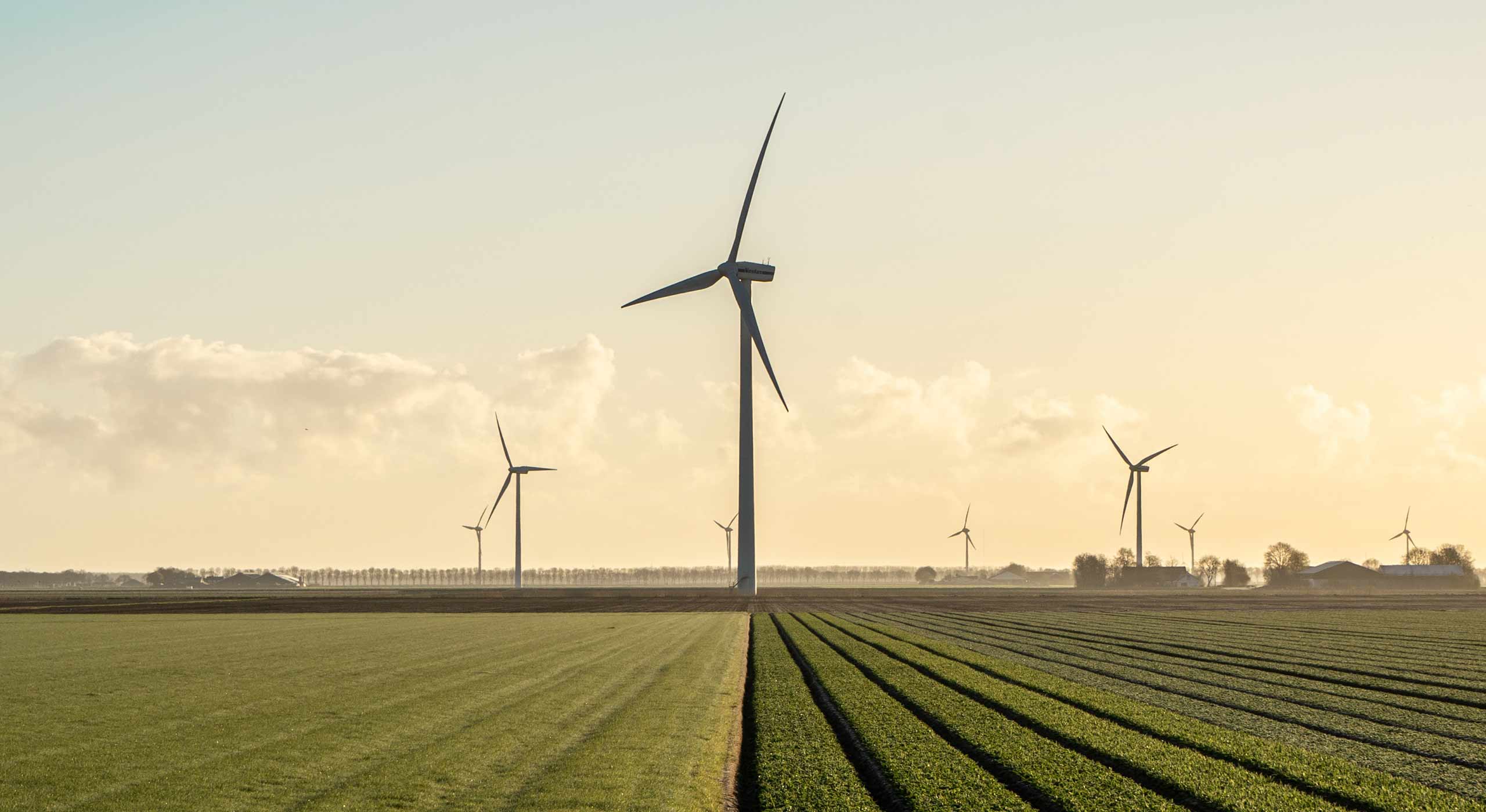 Wind Turbines in Field