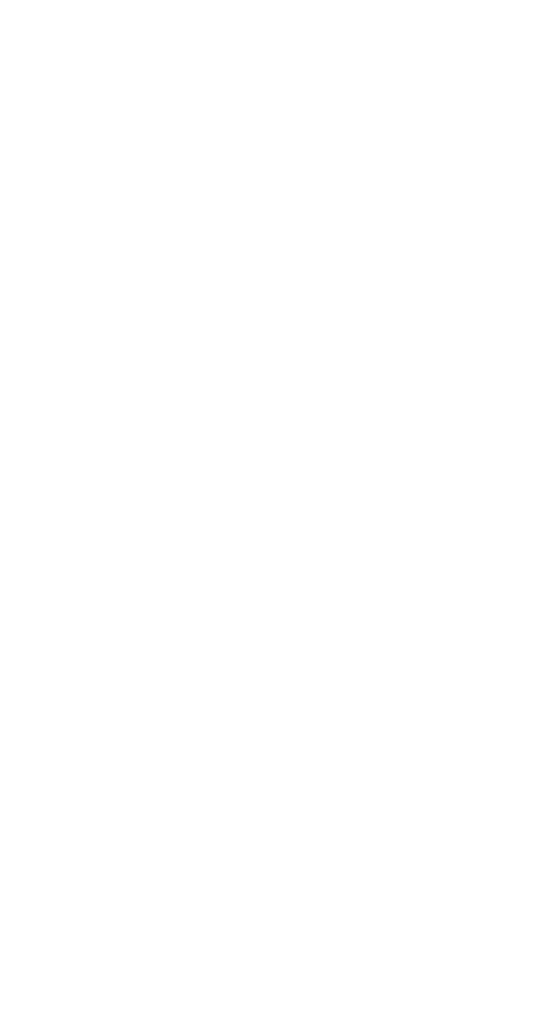 Festival Badge Left