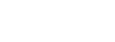 NetCash Inc White