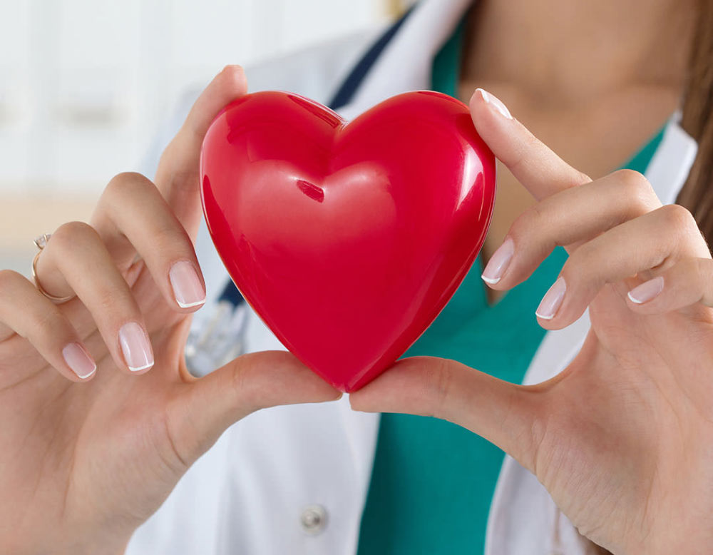 Person Holding Plastic Heart 1
