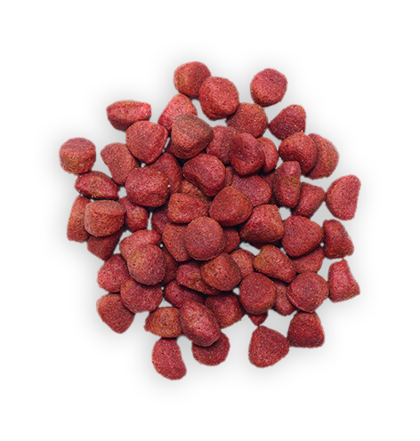 Dog Food 4