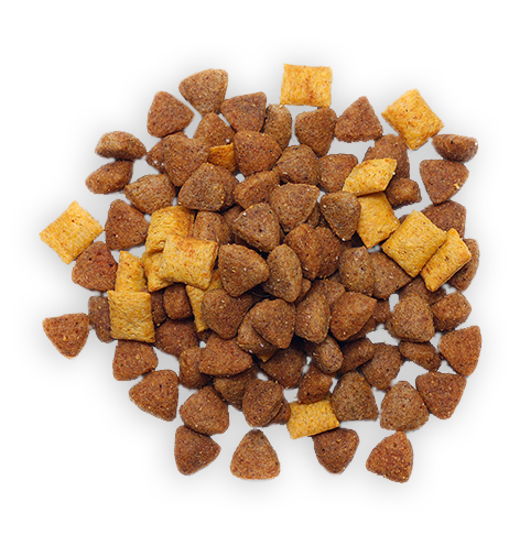 Dog Food 6