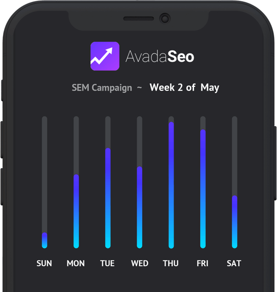 SEO Campaign Statistics