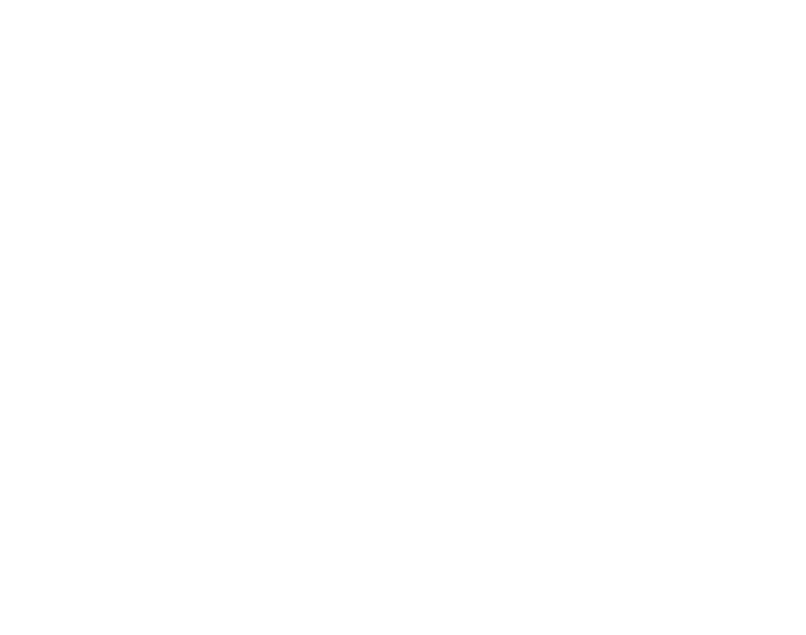 Circle Scale Progress Indicator