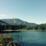 Forest & Lake