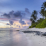 Palm Lined Beach